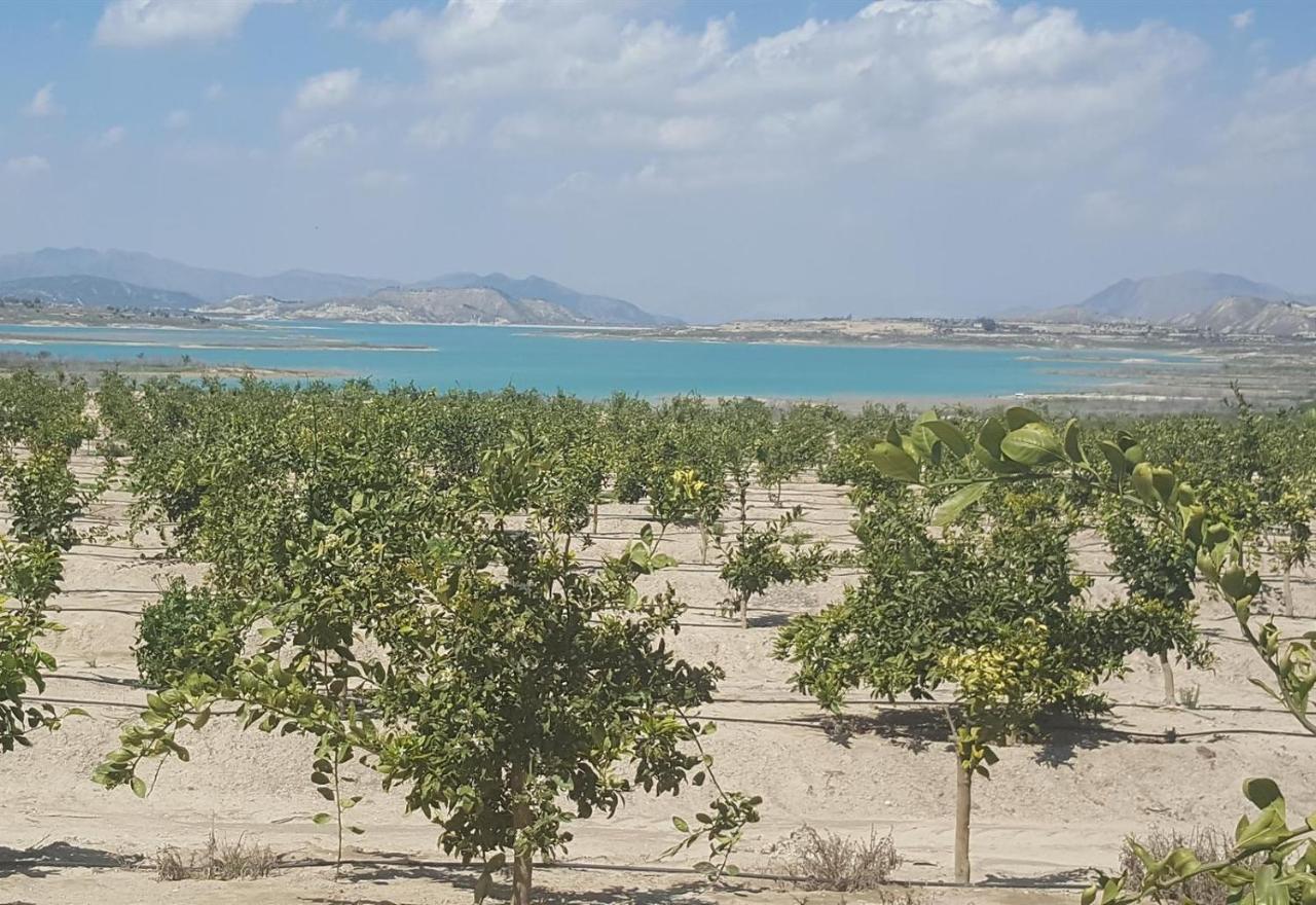 Very Nice Apartment With See Views Dehesa de Campoamor  Luaran gambar